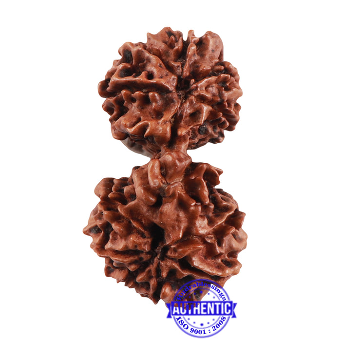 Mini Trijudi - Bead No. 40