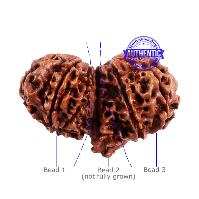 Mini Trijudi - Bead No. 40