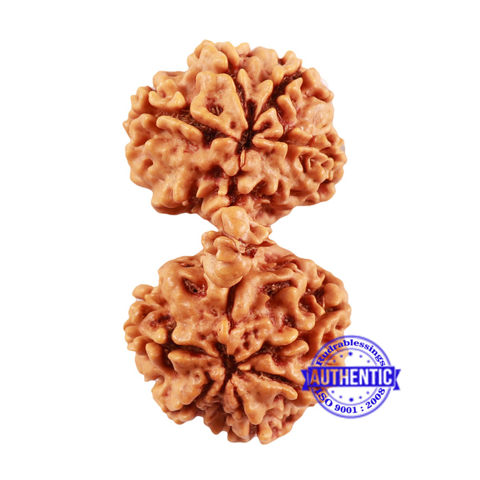 Mini Trijudi - Bead No. 41