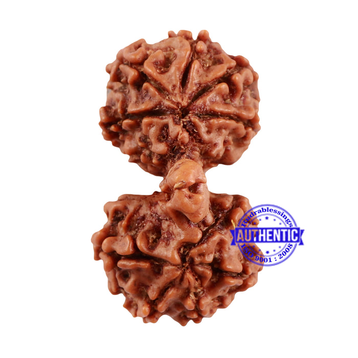 Mini Trijudi - Bead No. 42