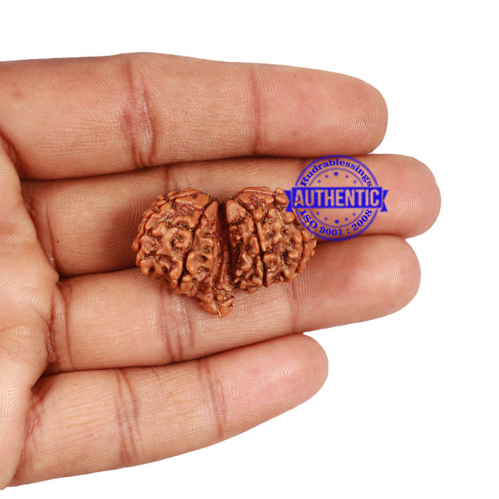 Mini Trijudi - Bead No. 42