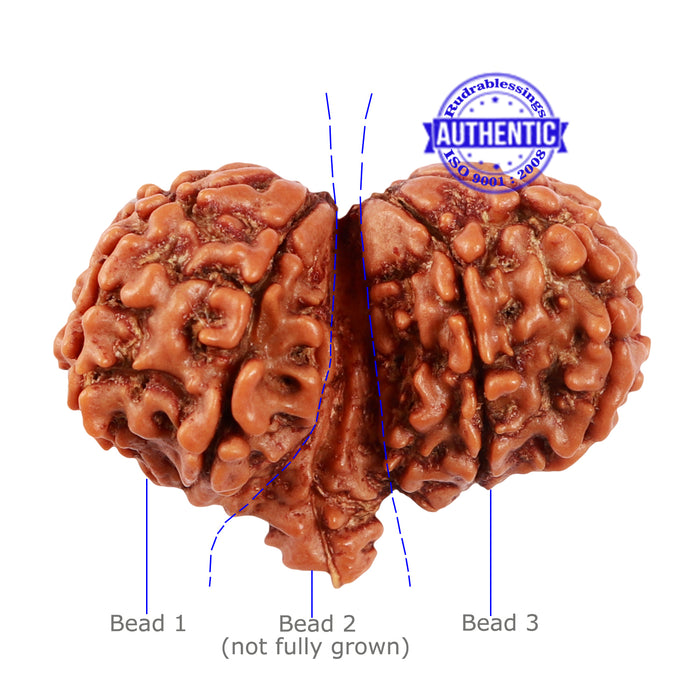 Mini Trijudi - Bead No. 42