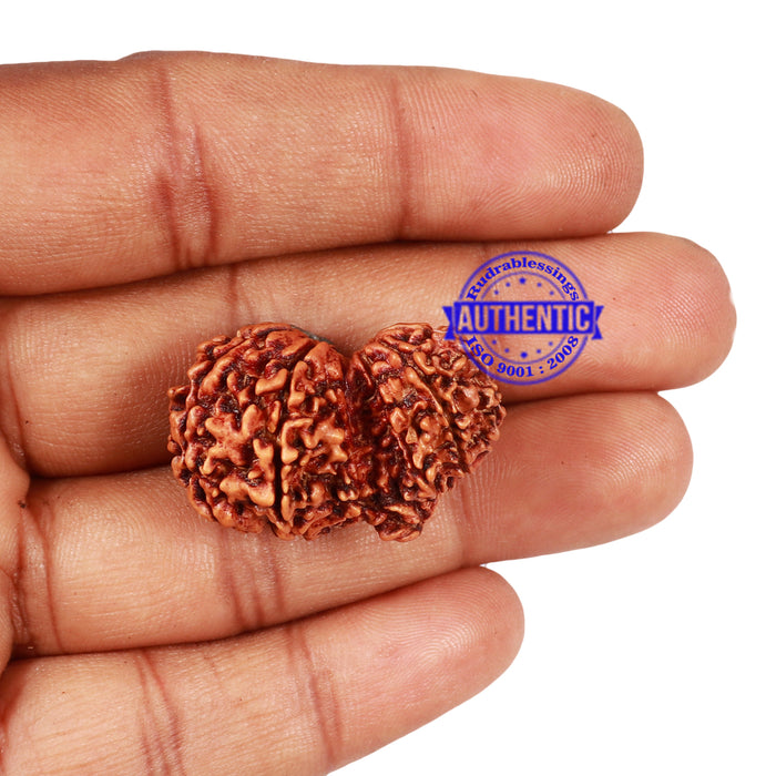 Mini Trijudi - Bead No. 43