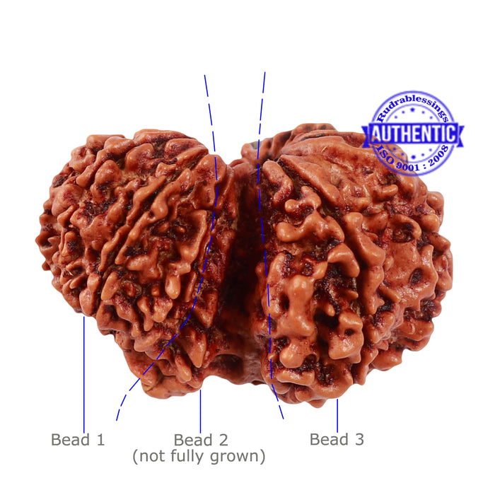 Mini Trijudi - Bead No. 43