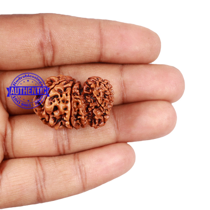 Mini Trijudi - Bead No. 44