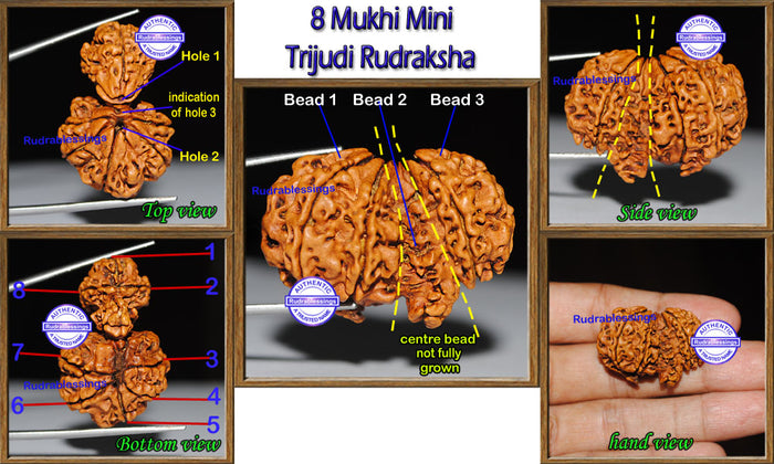 Mini Trijudi - Bead No. 1