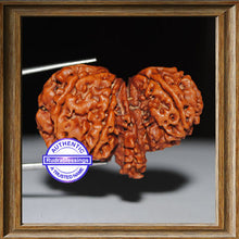 Load image into Gallery viewer, Mini Trijudi - Bead No. 5
