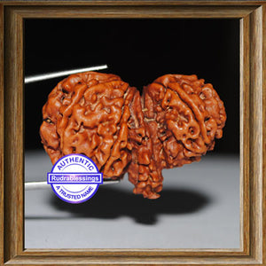 Mini Trijudi - Bead No. 5