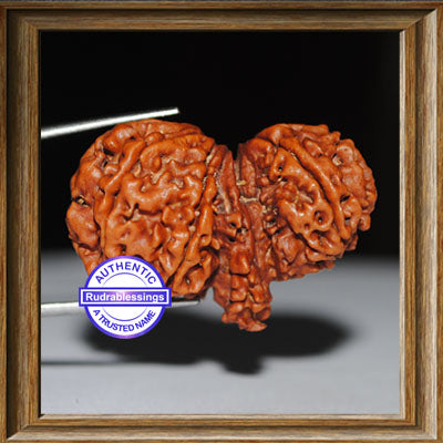 Mini Trijudi - Bead No. 5