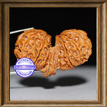 Load image into Gallery viewer, Mini Trijudi - Bead No. 6
