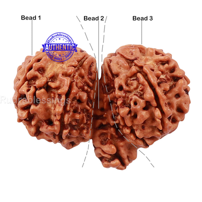 Mini Trijudi - Bead No. 31