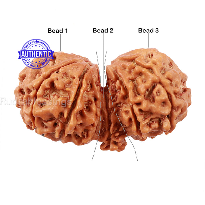 Mini Trijudi - Bead No. 32