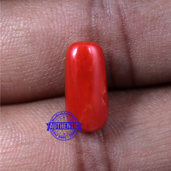 Coral / Moonga for planet Mars / Mangal - 33