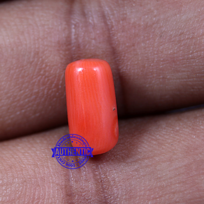 Coral / Moonga for planet Mars / Mangal - 34