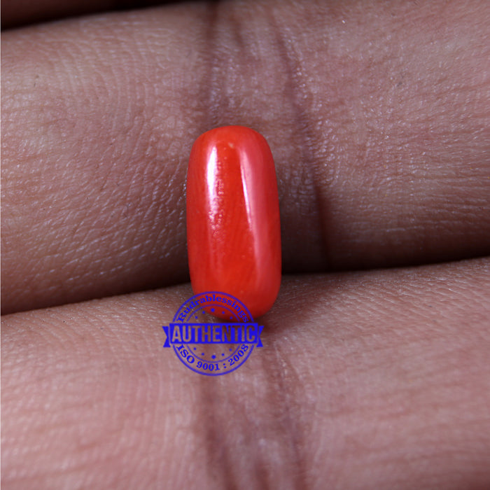 Coral / Moonga for planet Mars / Mangal - 35