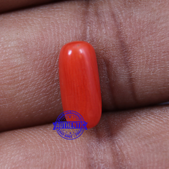 Coral / Moonga for planet Mars / Mangal - 36