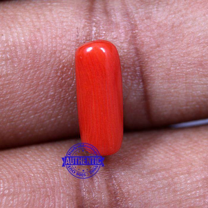 Coral / Moonga for planet Mars / Mangal - 37