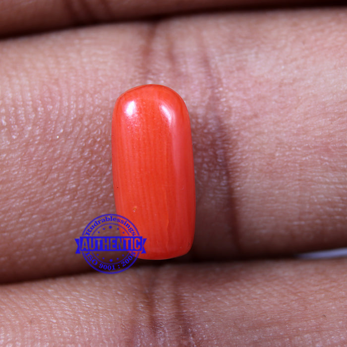 Coral / Moonga for planet Mars / Mangal - 38