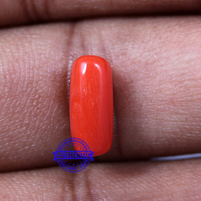 Coral / Moonga for planet Mars / Mangal - 39