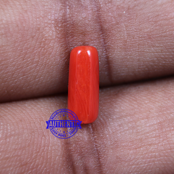 Coral / Moonga for planet Mars / Mangal - 42