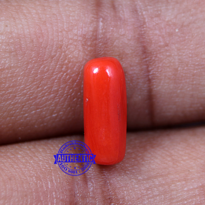 Coral / Moonga for planet Mars / Mangal - 43