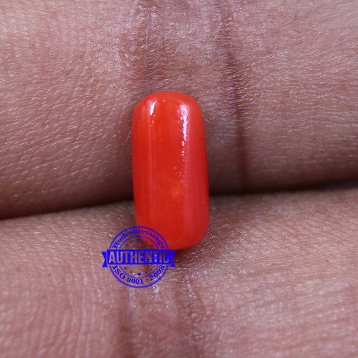 Coral / Moonga for planet Mars / Mangal - 44