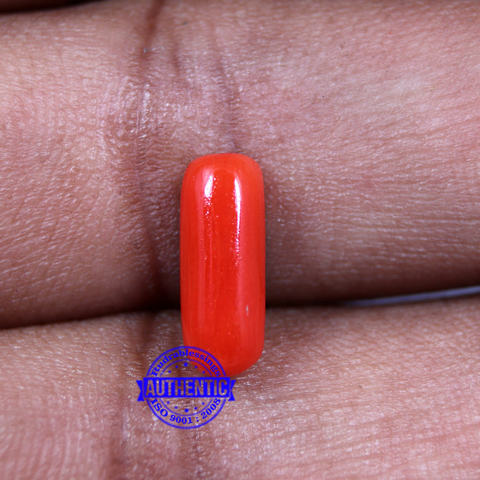 Coral / Moonga for planet Mars / Mangal - 45