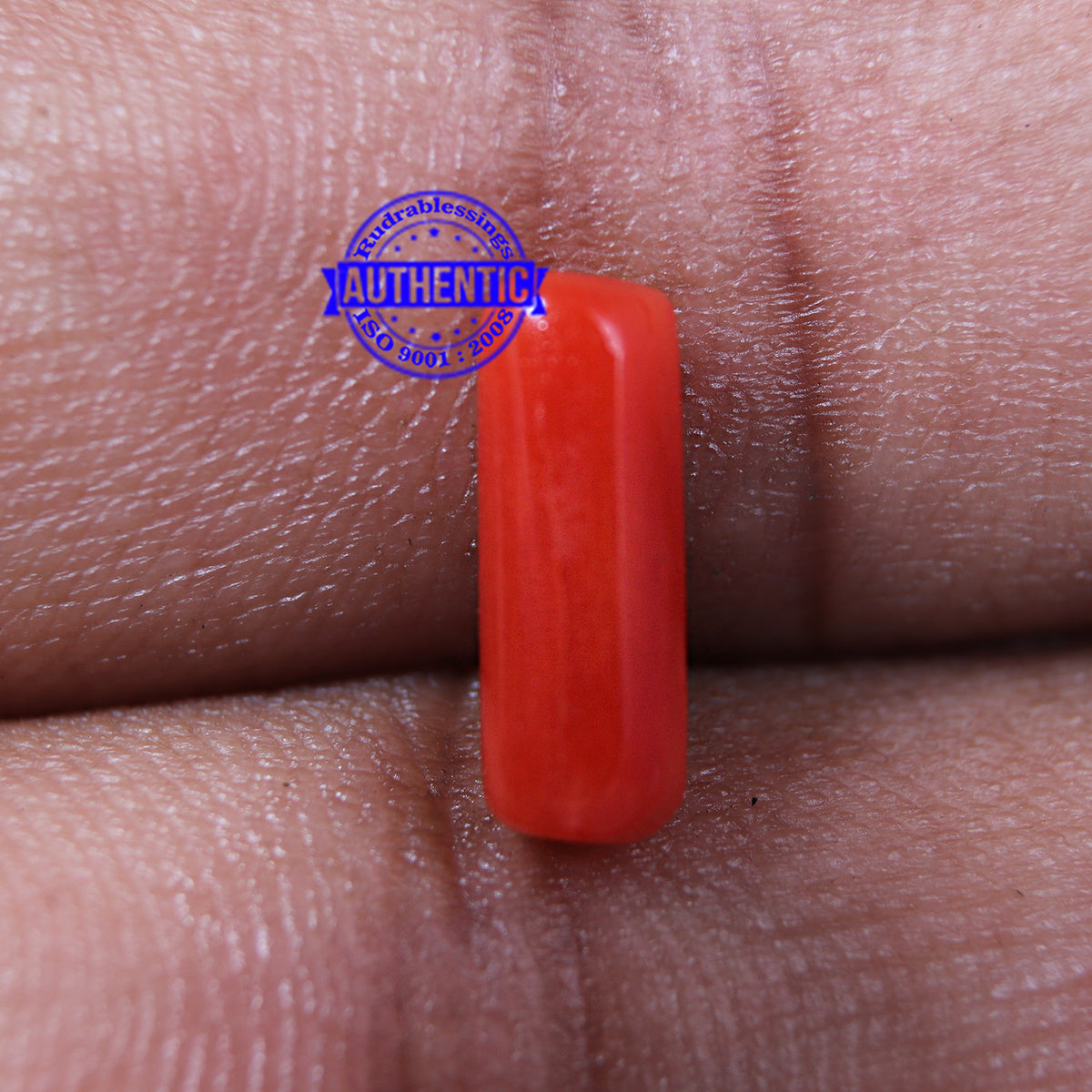 Coral / Moonga for planet Mars / Mangal - 47 – Rudra and Sons