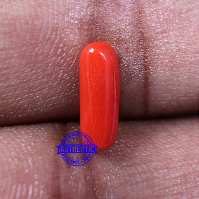 Coral / Moonga for planet Mars / Mangal - 48