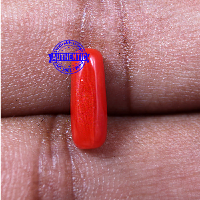 Coral / Moonga for planet Mars / Mangal - 50