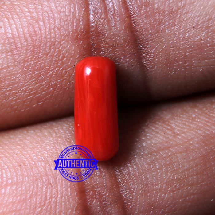 Coral / Moonga for planet Mars / Mangal - 53