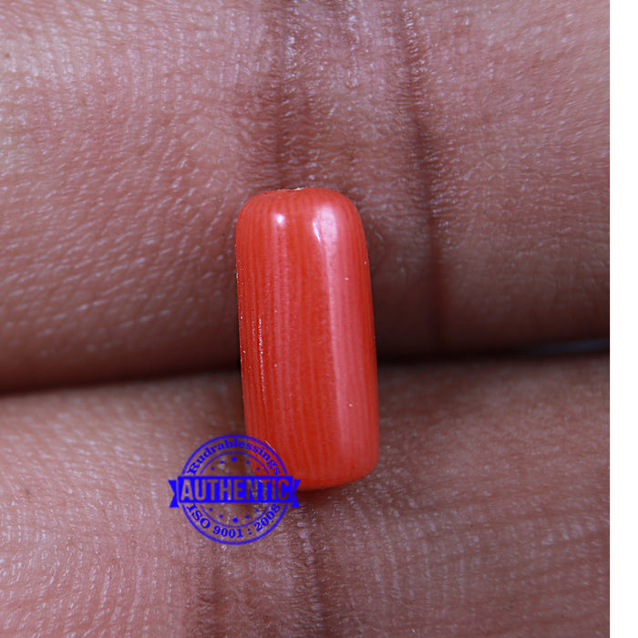 Coral / Moonga for planet Mars / Mangal - 54