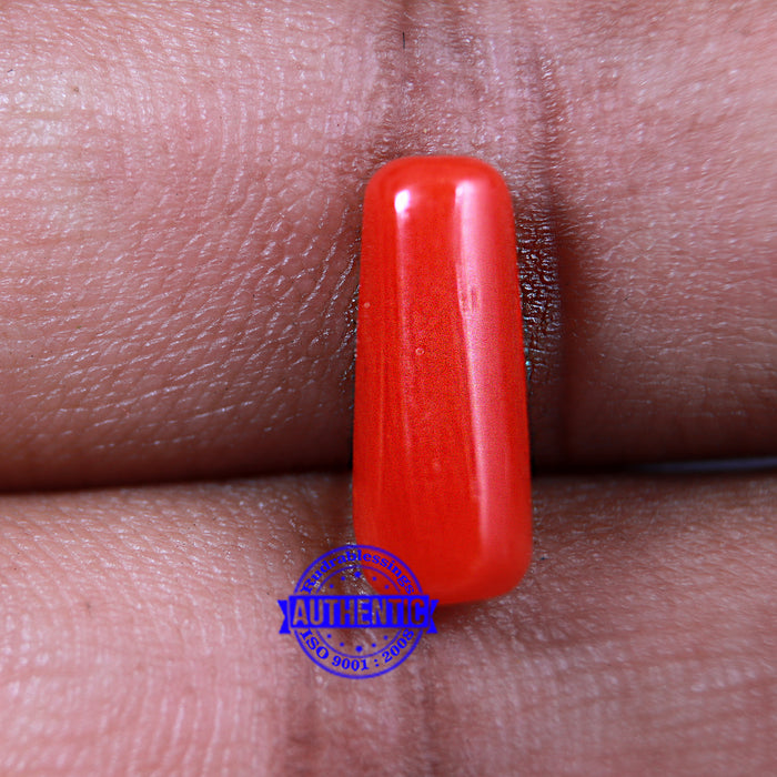 Coral / Moonga for planet Mars / Mangal - 55