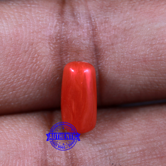 Coral / Moonga for planet Mars / Mangal - 56