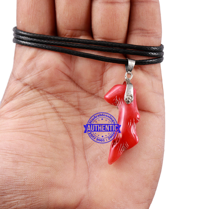 Real Coral / Moonga - 1