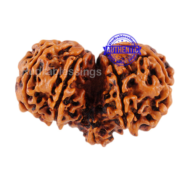 Mini Trijudi - Bead No. 20