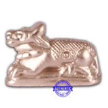 Load image into Gallery viewer, Parad / Mercury nandi - 75
