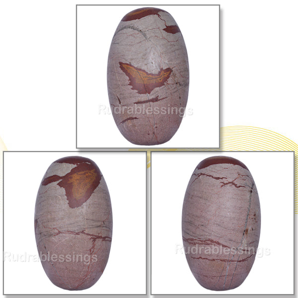 Narmada Shivling - 11