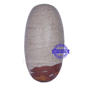 Narmada Shivling - 12