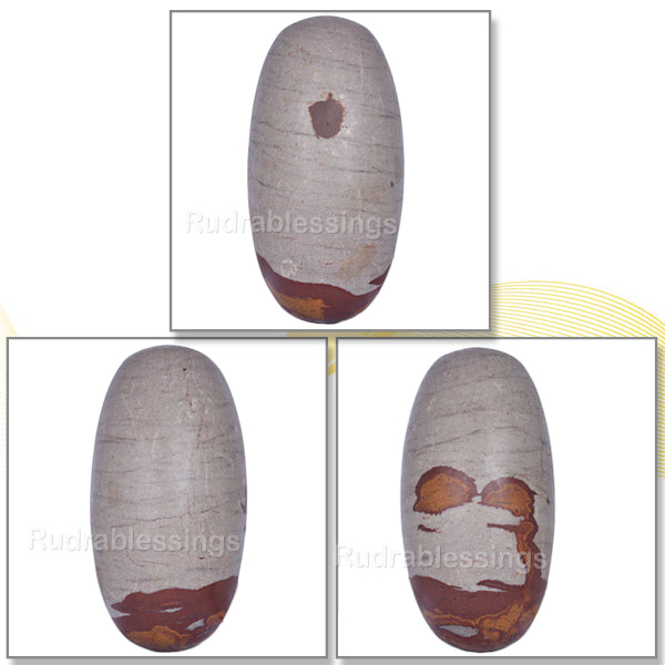 Narmada Shivling - 12