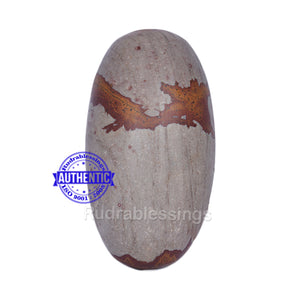 Narmada Shivling - 13