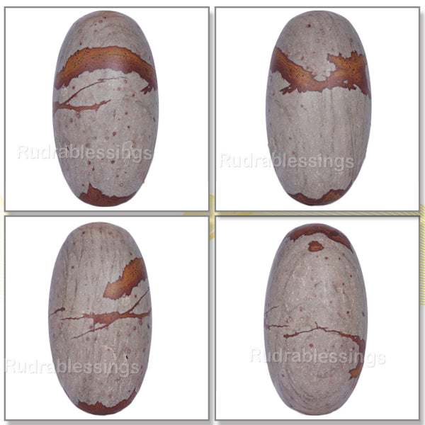 Narmada Shivling - 13