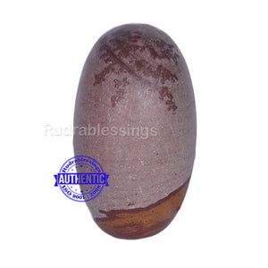 Narmada Shivling - 14