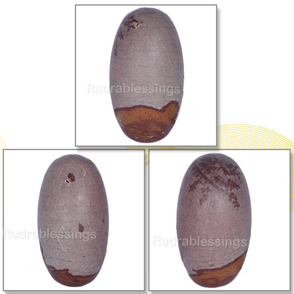 Narmada Shivling - 14