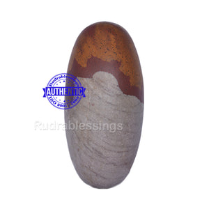 Narmada Shivling - 15