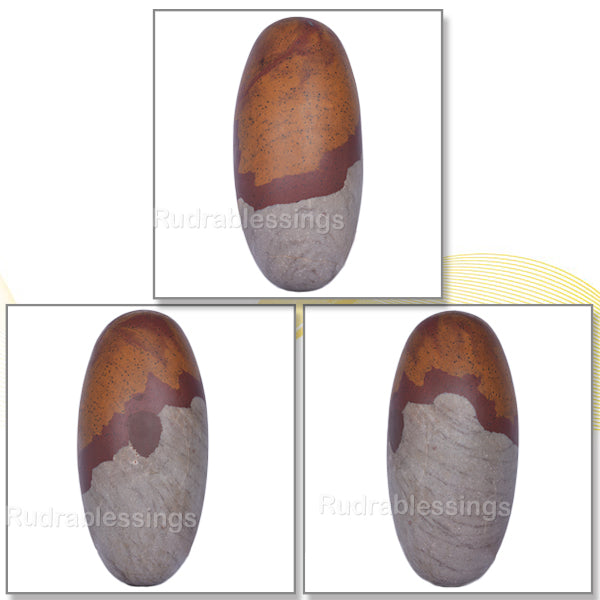 Narmada Shivling - 15