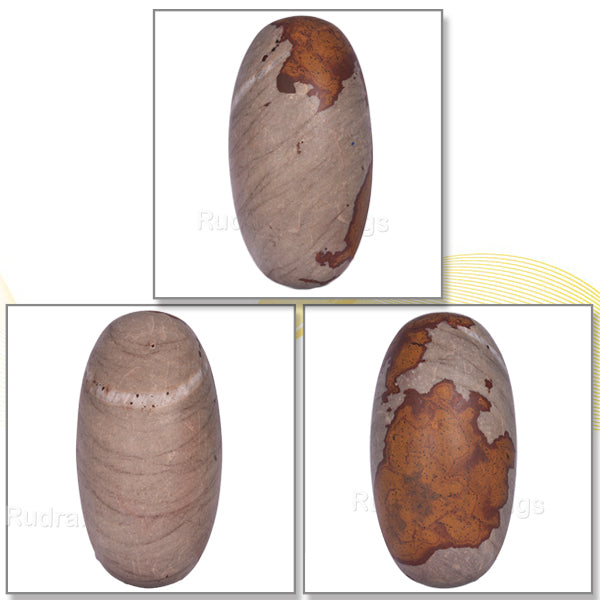 Narmada Shivling - 16