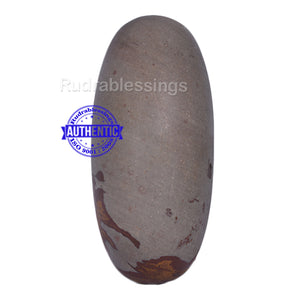 Narmada Shivling - 17