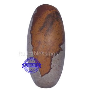 Narmada Shivling - 18