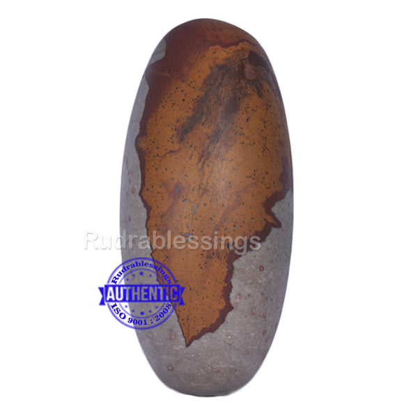 Narmada Shivling - 18